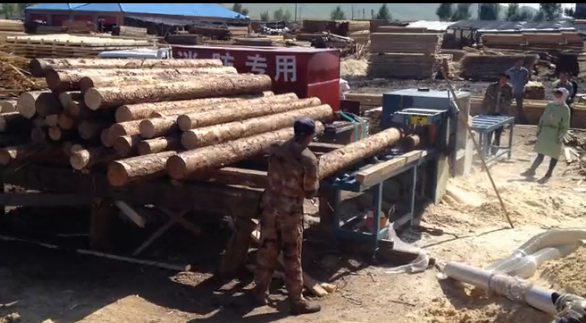 多片鋸 圓木多片鋸250型滿洲里客戶加工現(xiàn)場