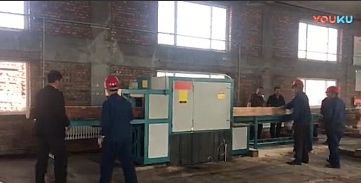 原木多片鋸工作視頻（圓木、方木一起加工）