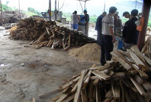 廣東省韶關(guān)市馬壩-方木多片鋸150高-加工現(xiàn)場