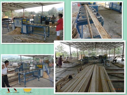 廣西-桂林-原木多片鋸250-方木70-加工現場