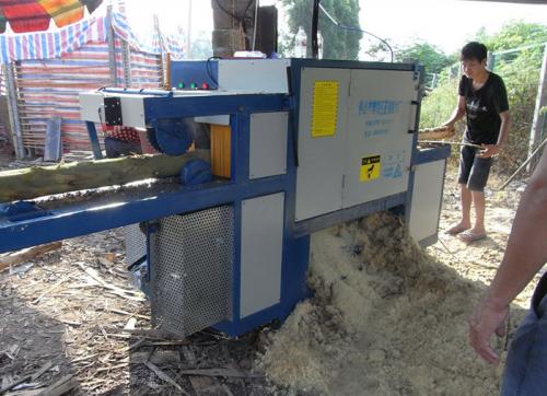 廣西省貴港市八堂鎮(zhèn)-200圓木多片鋸加工現場