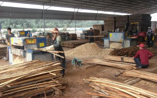 海南島-方木多片鋸加工現(xiàn)場0