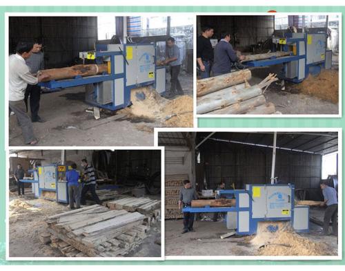 廣東-中山-鋸桉木25原木多片鋸加工現(xiàn)場