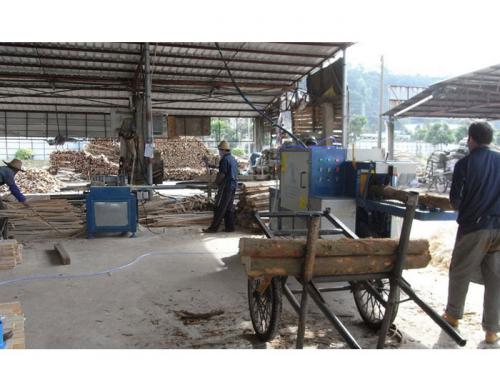 廣東-中山市-圓木多片鋸加工現(xiàn)場1