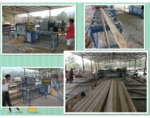 廣西-桂林-原木多片鋸250-方木70-加工現(xiàn)場