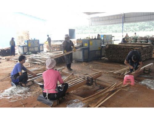 海南島-方木多片鋸加工現(xiàn)場(chǎng)