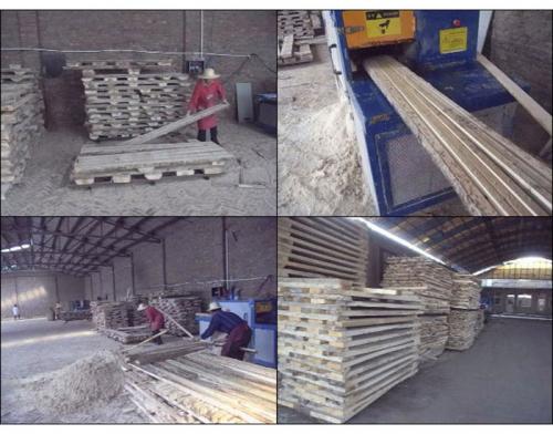 河北省-廊坊-圓木-方木多片鋸-加工現(xiàn)場(chǎng)